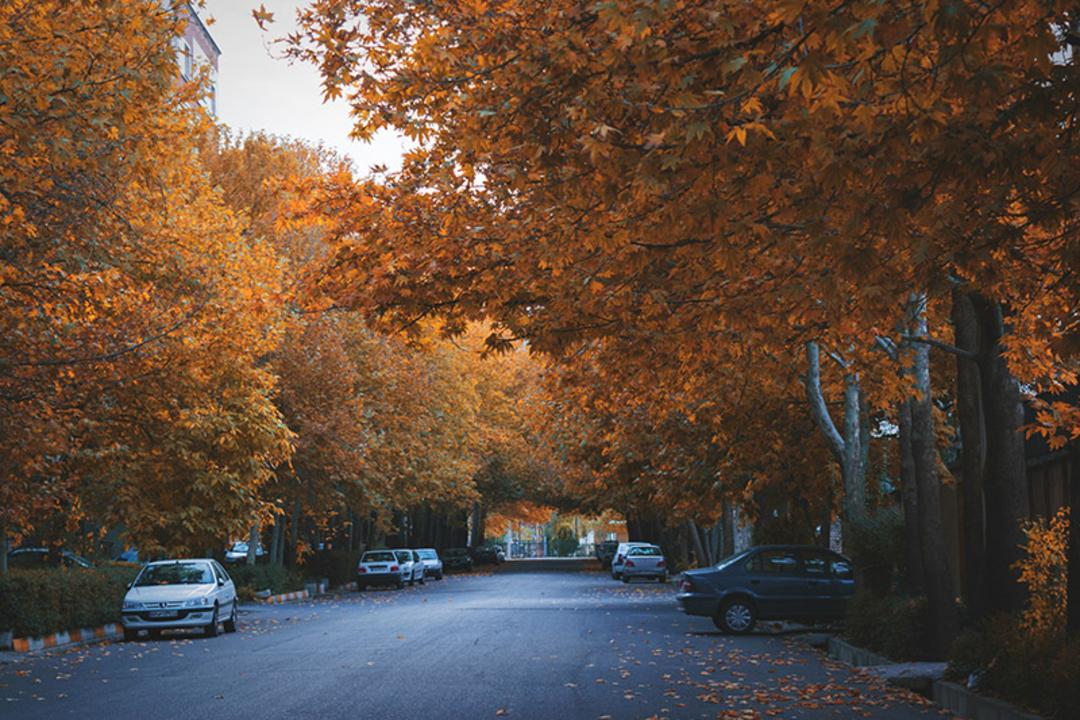 خیابان های همدان در فصل پاییز