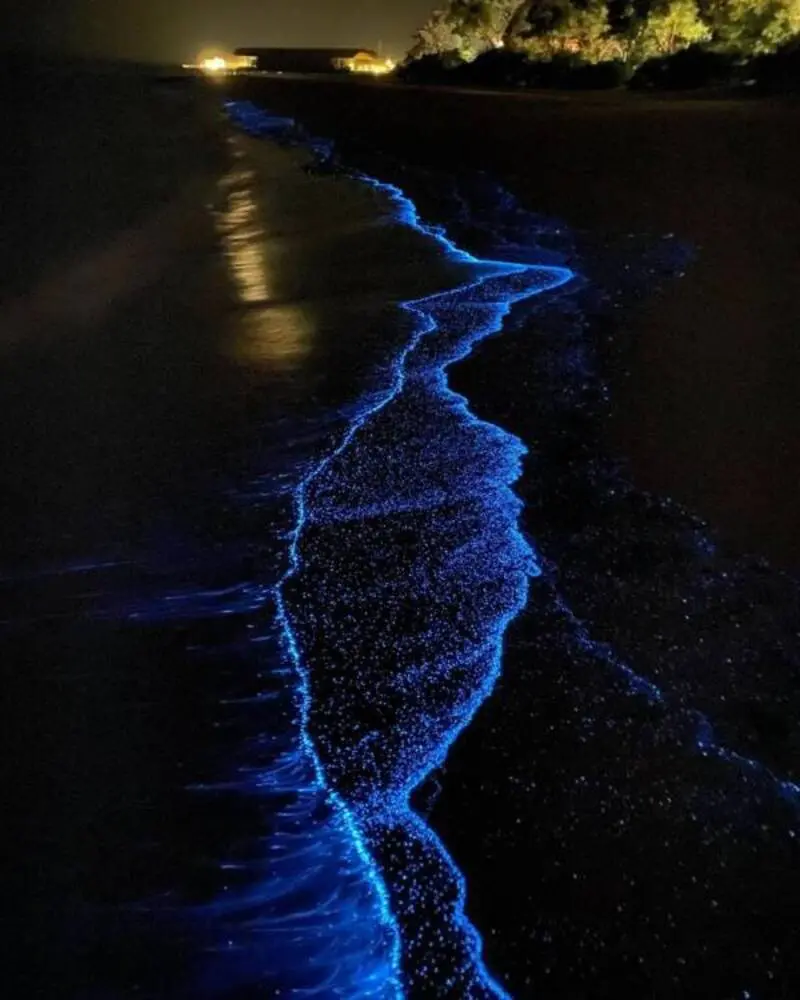 امواج آبی درخشان ناشی از پدیده زیست‌تابی (Bioluminescence) در ساحل مالدیو