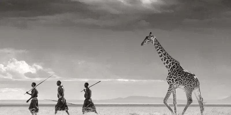 زرافه (Giraffe) و سه مرد آفریقایی در دشت وسیع زیر آسمان ابری