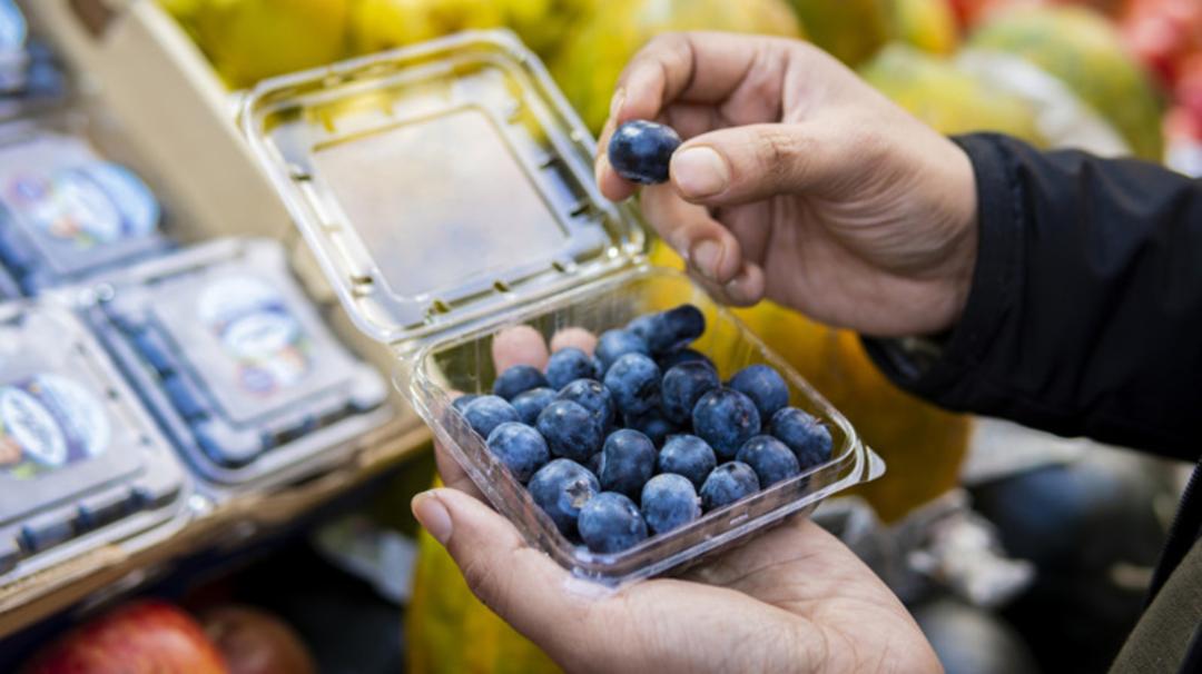 بلوبری (Blueberry) تازه در یک ظرف پلاستیکی شفاف در دست مشتری