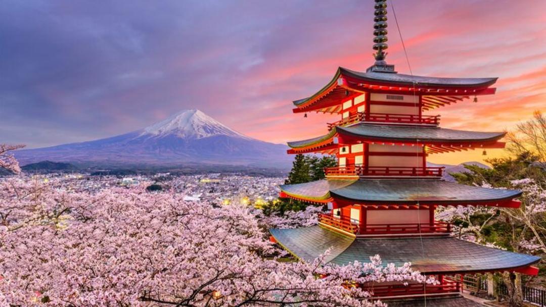معبد چوریتو (Chureito Pagoda) در کنار شکوفه‌های گیلاس و کوه فوجی (Mount Fuji)
