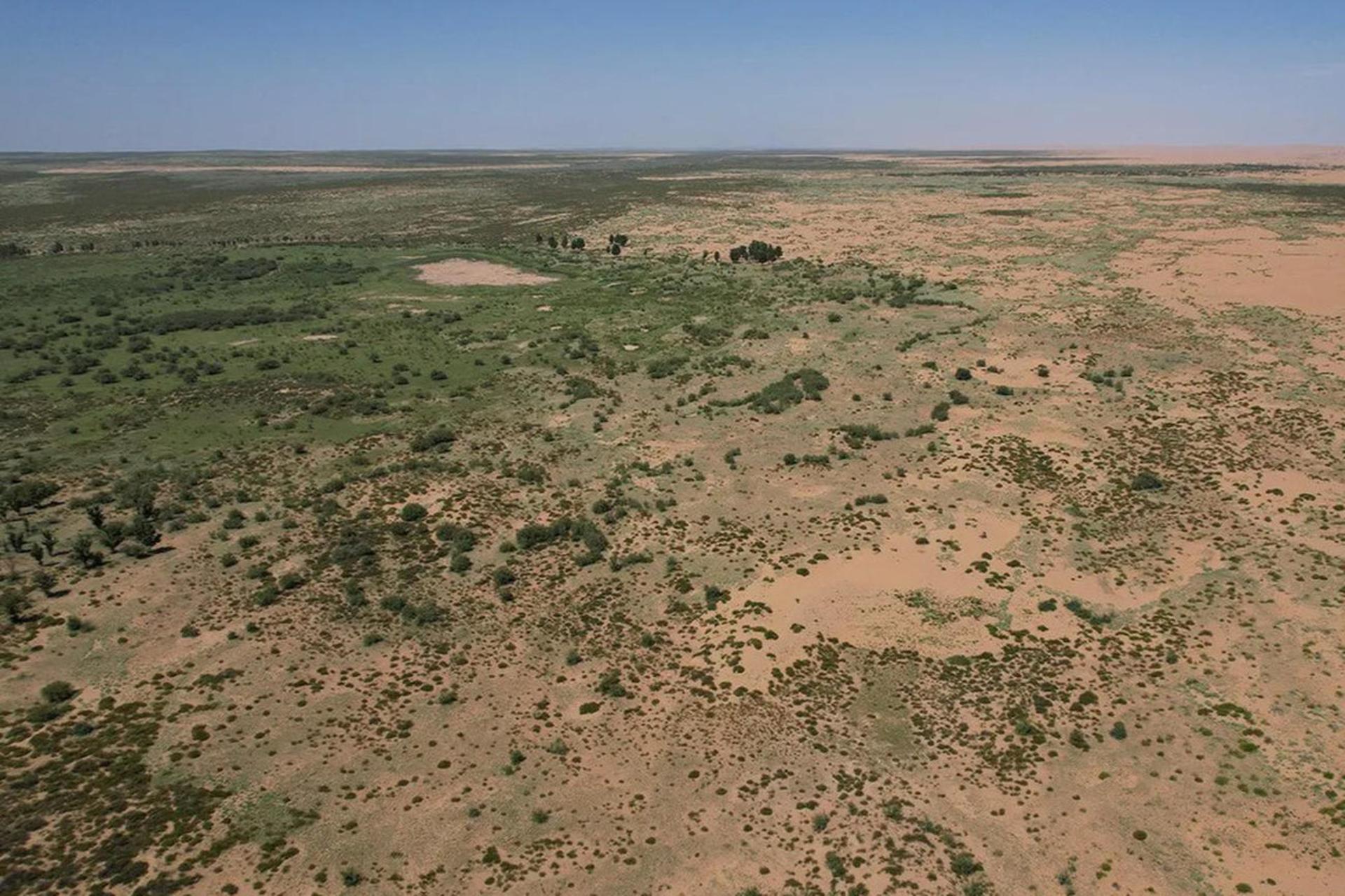 ماجرای دیوار سبز چین؛ وقتی درختان دستکاشت شگفتی آفریدند