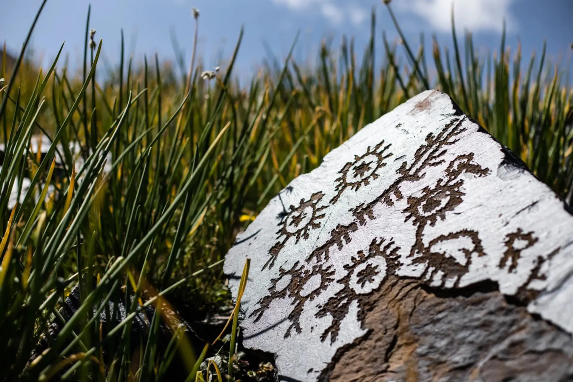 سنگ‌نگاره‌های باستانی (Petroglyphs) حک شده روی سطح یک سنگ در طبیعت