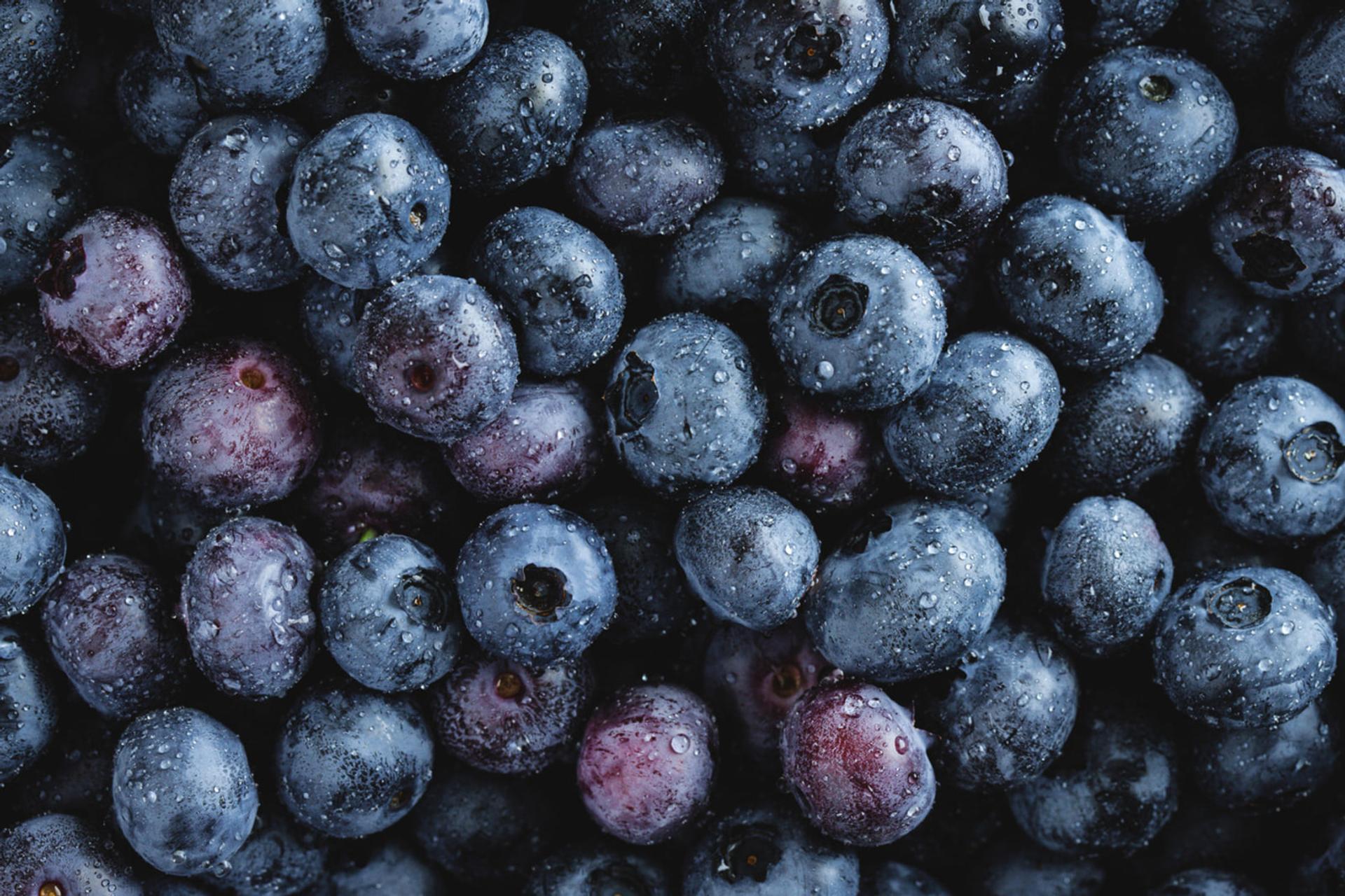 بلوبری (Blueberry) تازه و خیس با قطرات آب روی پوست