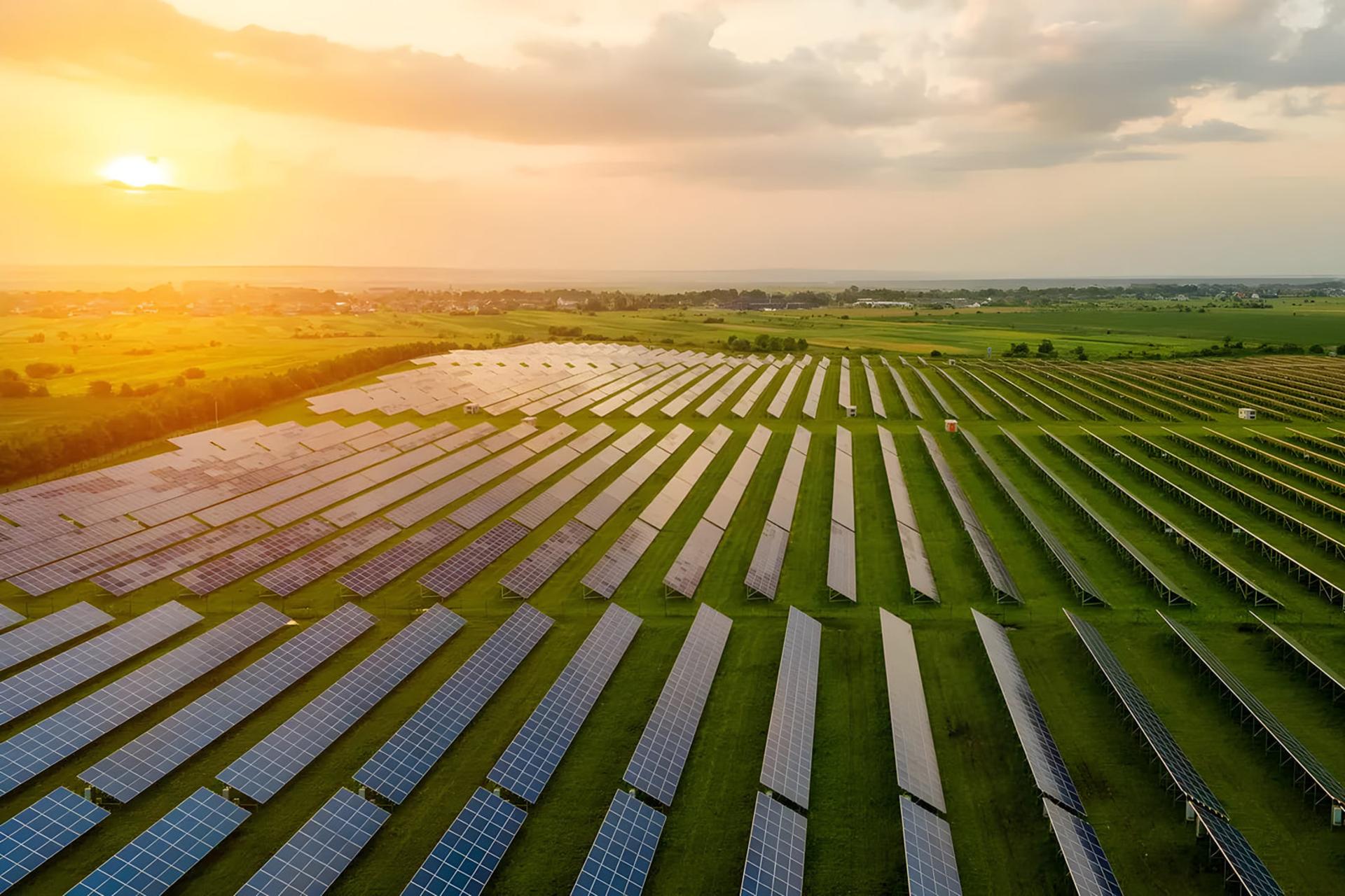 پنل‌های خورشیدی (Solar Panels) نصب شده در پهنه وسیع یک مزرعه زیر نور خورشید