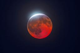 شاهکار عکاس نجومی در پارکینگ یک هتل؛ ماه خونین این‌طور شکار شد