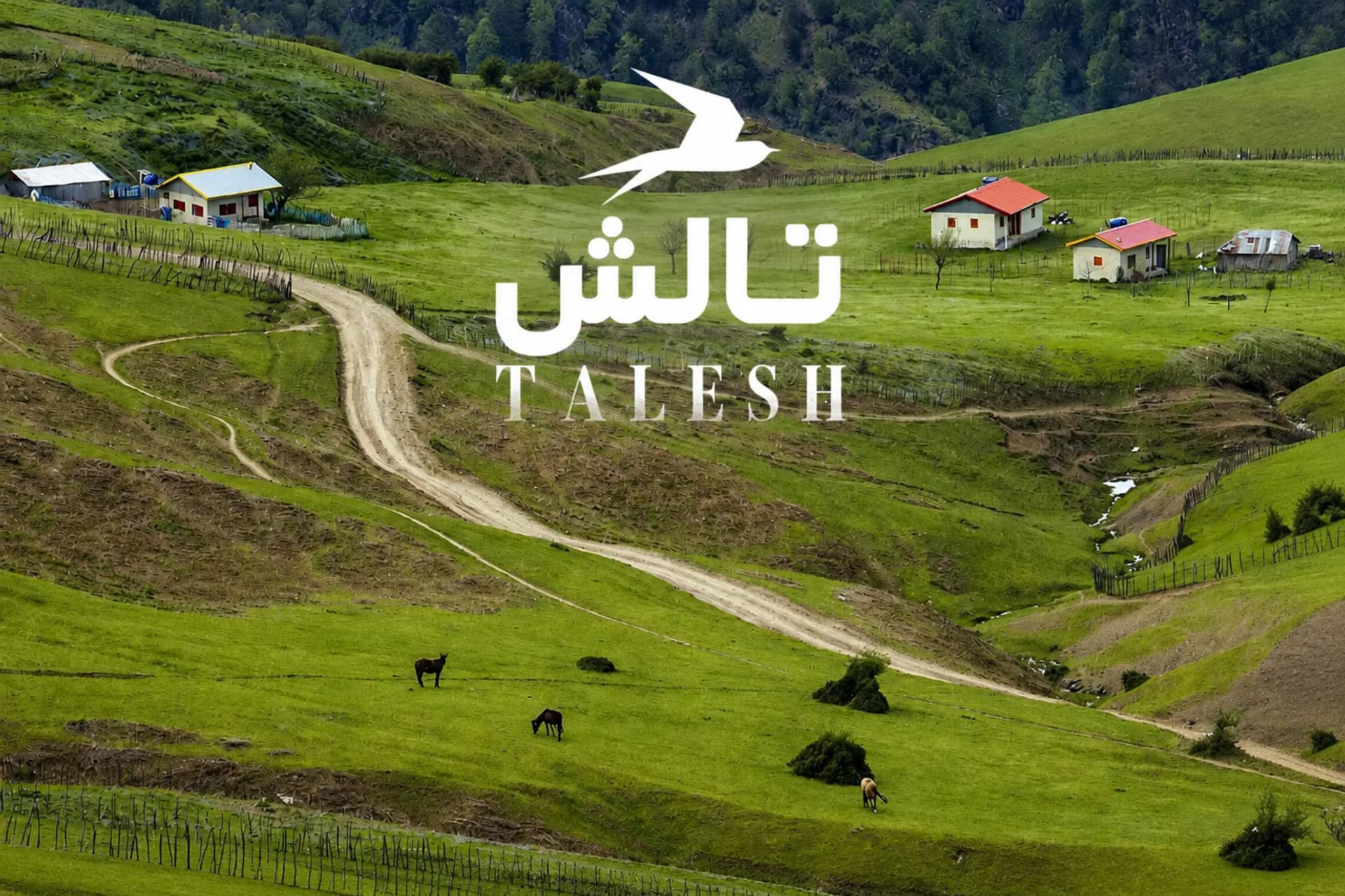 تپه‌های سبز و جاده خاکی در طبیعت کوهستانی تالش