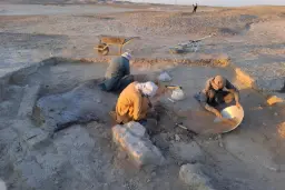 کشف بازی فکری ۴۶۰۰ ساله در شهرسوخته؛ رازهای تازه از زندگی مردم یک تمدن باستانی