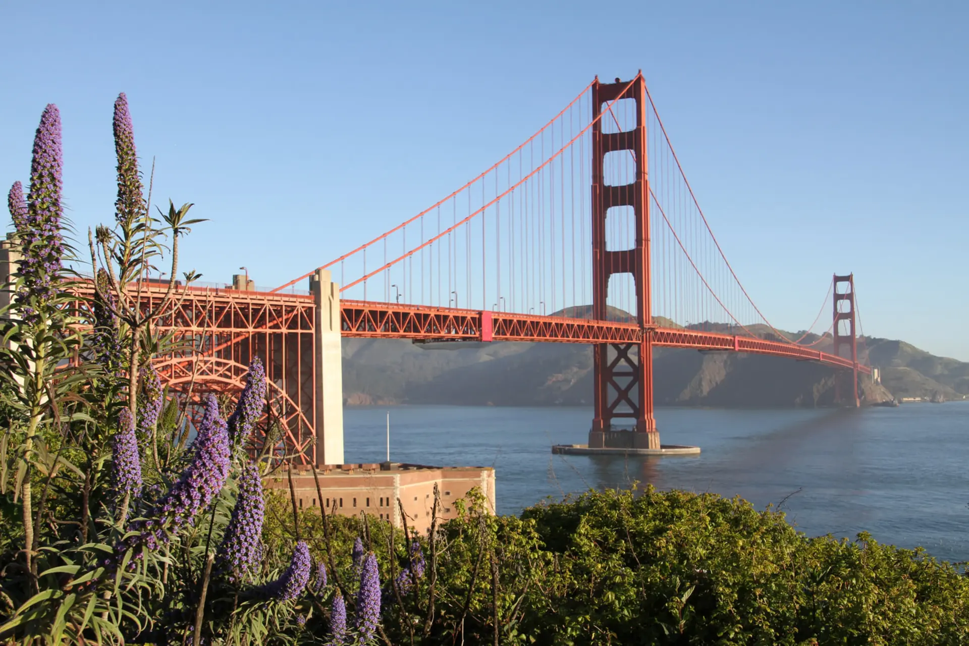 پل معلق گلدن گیت (Golden Gate Bridge) با رنگ نارنجی در خلیج سانفرانسیسکو
