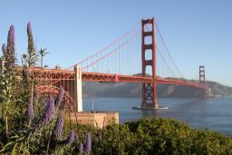پل معلق گلدن گیت (Golden Gate Bridge) با رنگ نارنجی در خلیج سانفرانسیسکو