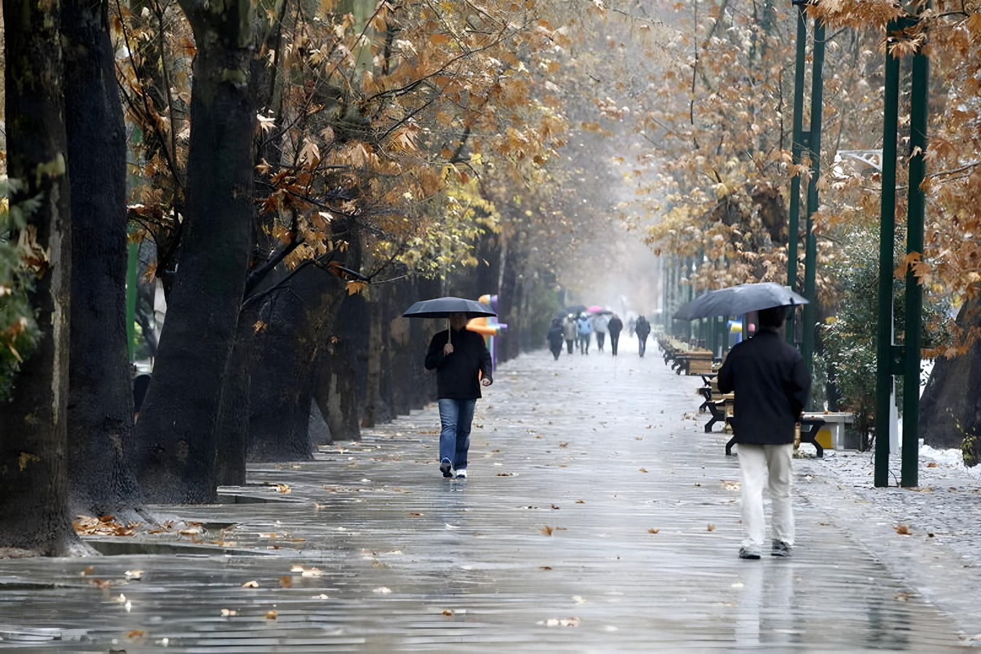 پیاده‌روی بارانی در خیابان‌های شمال تهران با حضور عابران زیر چتر