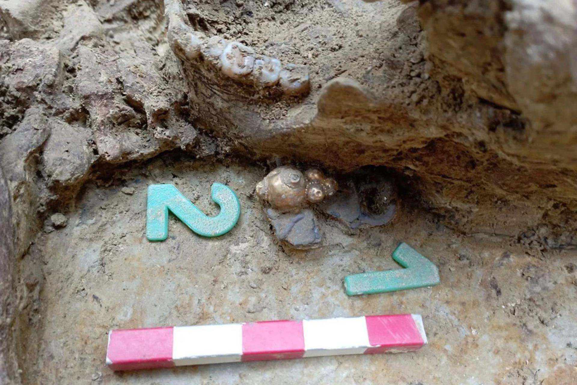 عدد یک و دو کنار آثار کشف شده در سگد مجارستان