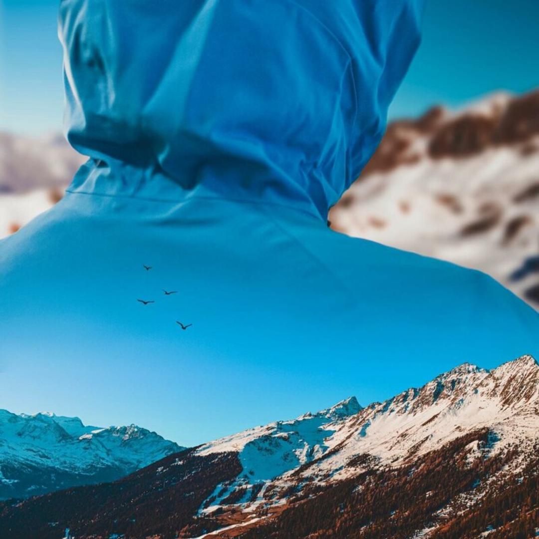 ترکیب هنری چهره انسان با منظره کوهستان و پرندگان در آسمان
