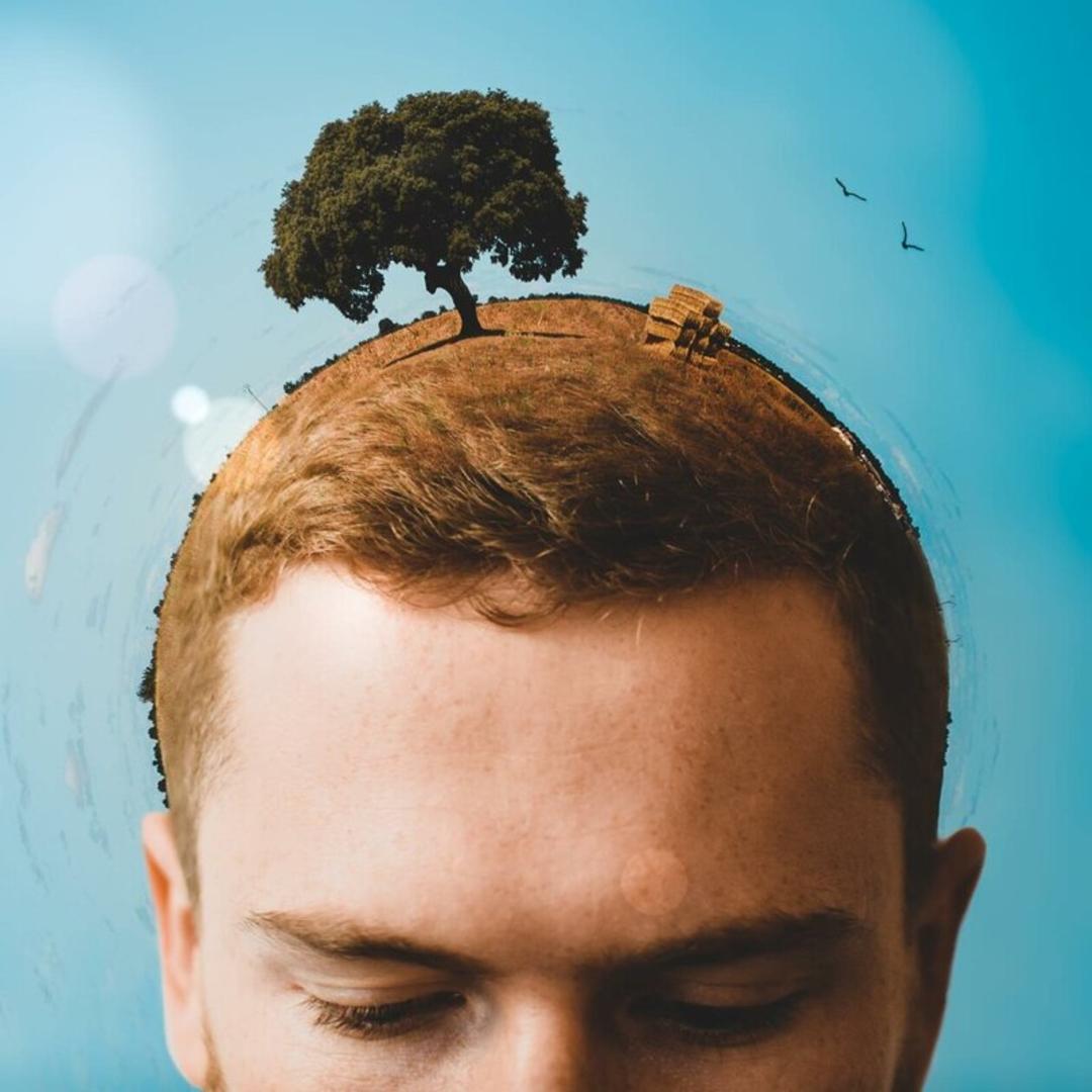 منظره‌ای از درخت و دشت روی بالای سر یک مرد