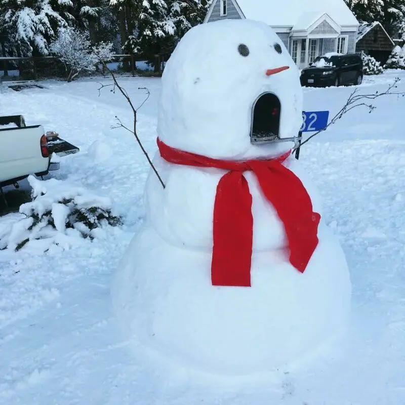 آدم‌برفی (Snowman) با شال قرمز در حیاط پوشیده از برف