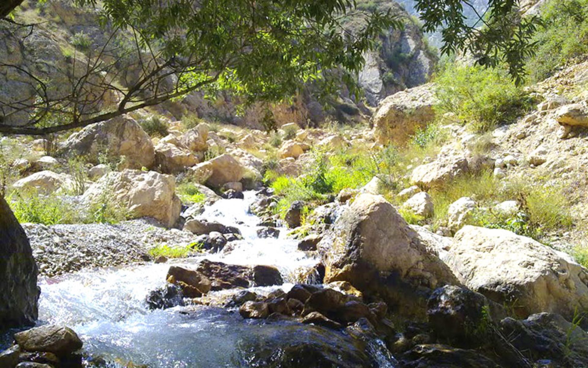 جریان رود شاهاندشت در طبیعت سرسبز