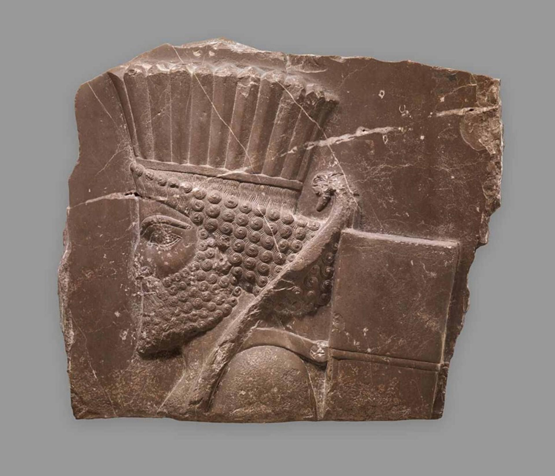 انگاریوم کوروش 