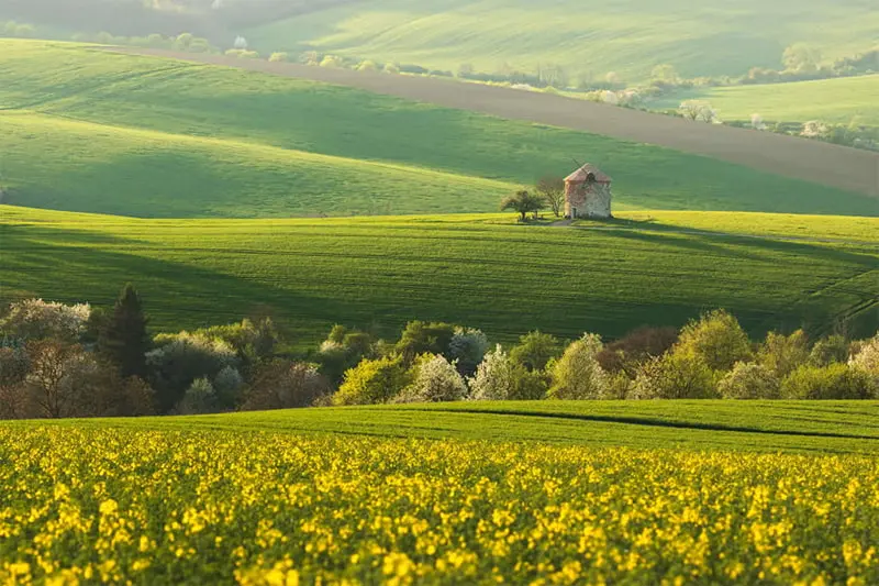 کلبه ای در دشتی سر سبز