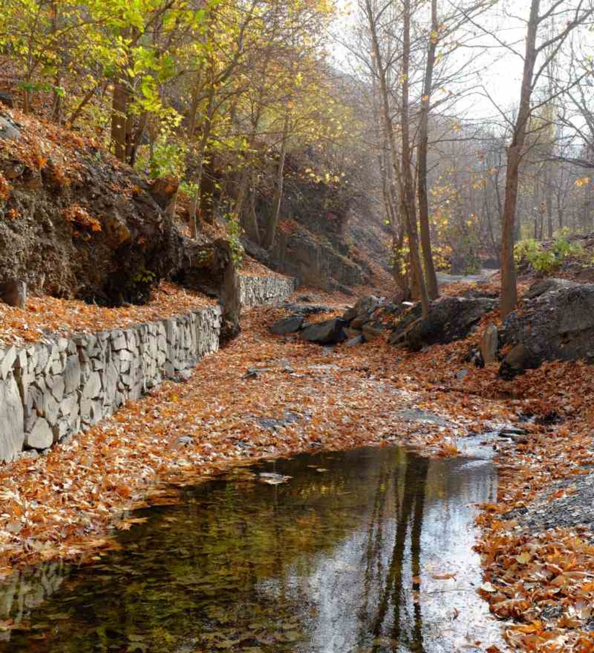 طبیعت پاییزی روستای کردینه