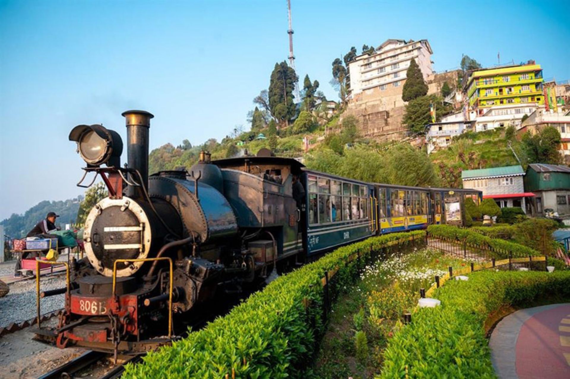 قطار راه‌آهن هیمالیایی دارجیلینگ، هند در میان منظره سرسبز