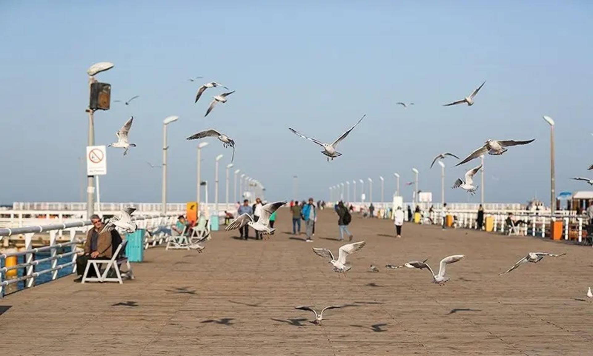 گردشگران در اسکه تفریحی کیش