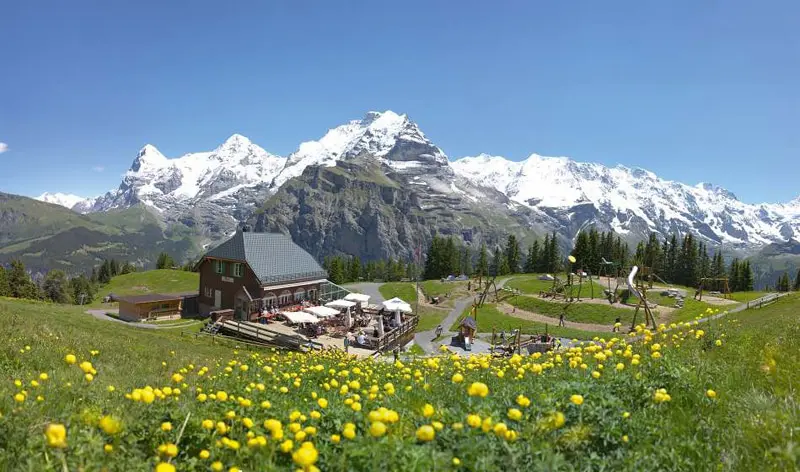 کلبه ای در دره سرسبز سوئیس