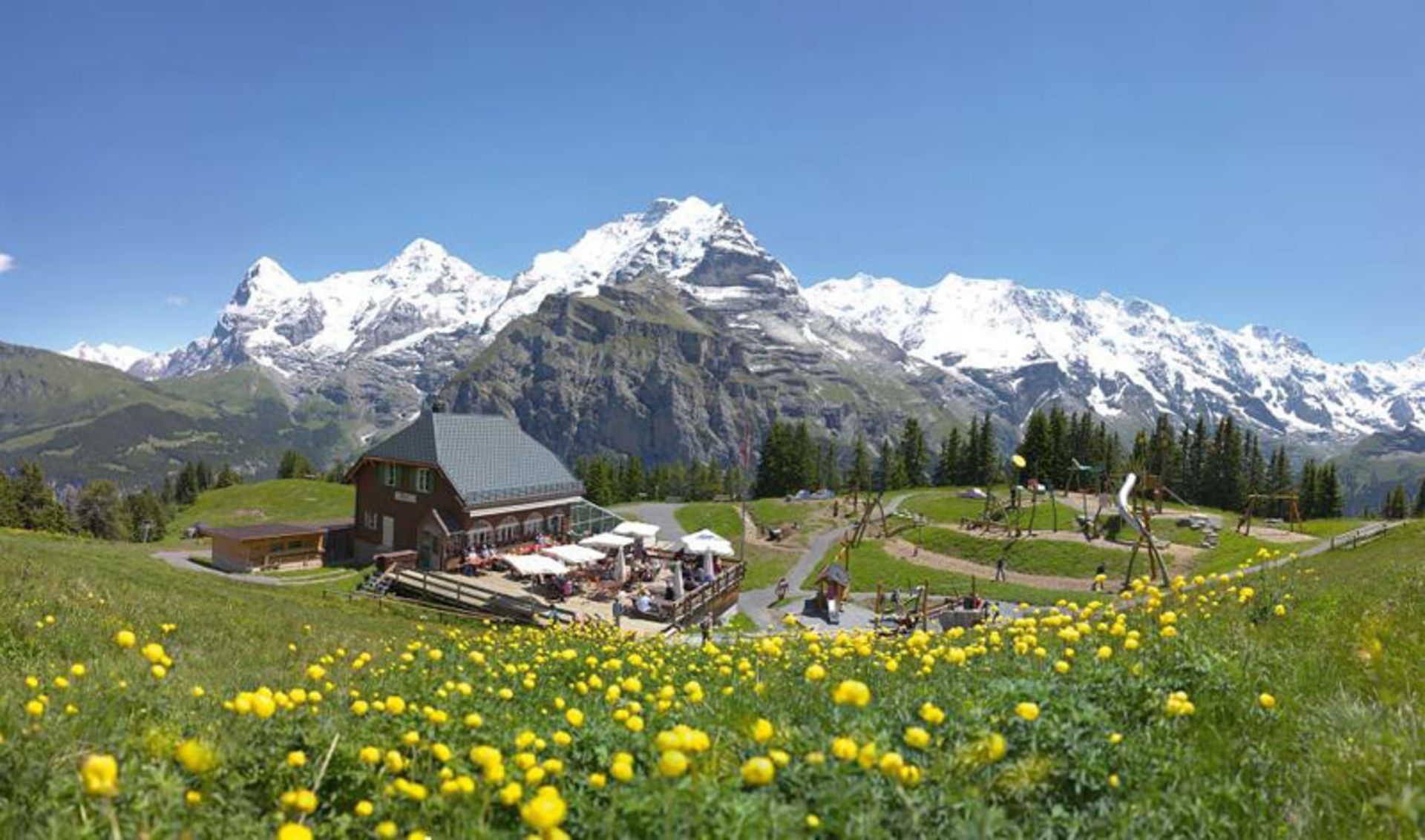 کلبه ای در دره سرسبز سوئیس