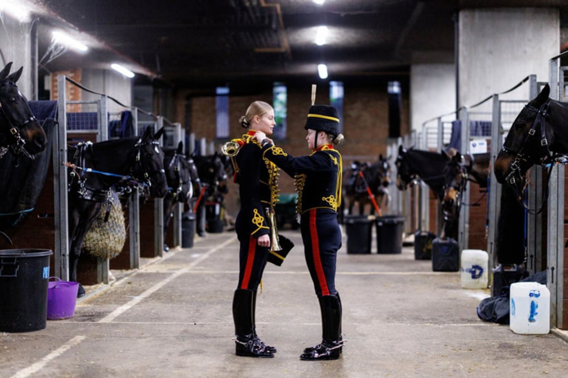 اعضای توپخانه سواره سلطنتی در حال آماده‌سازی برای مراسم تولد شاه چارلز سوم 