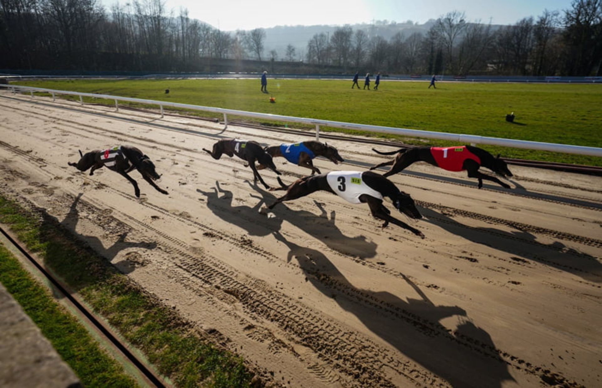 مسابقه سگ‌ های تازی در استادیوم ولی گری هاوند (Valley Greyhound Stadium)، ولز