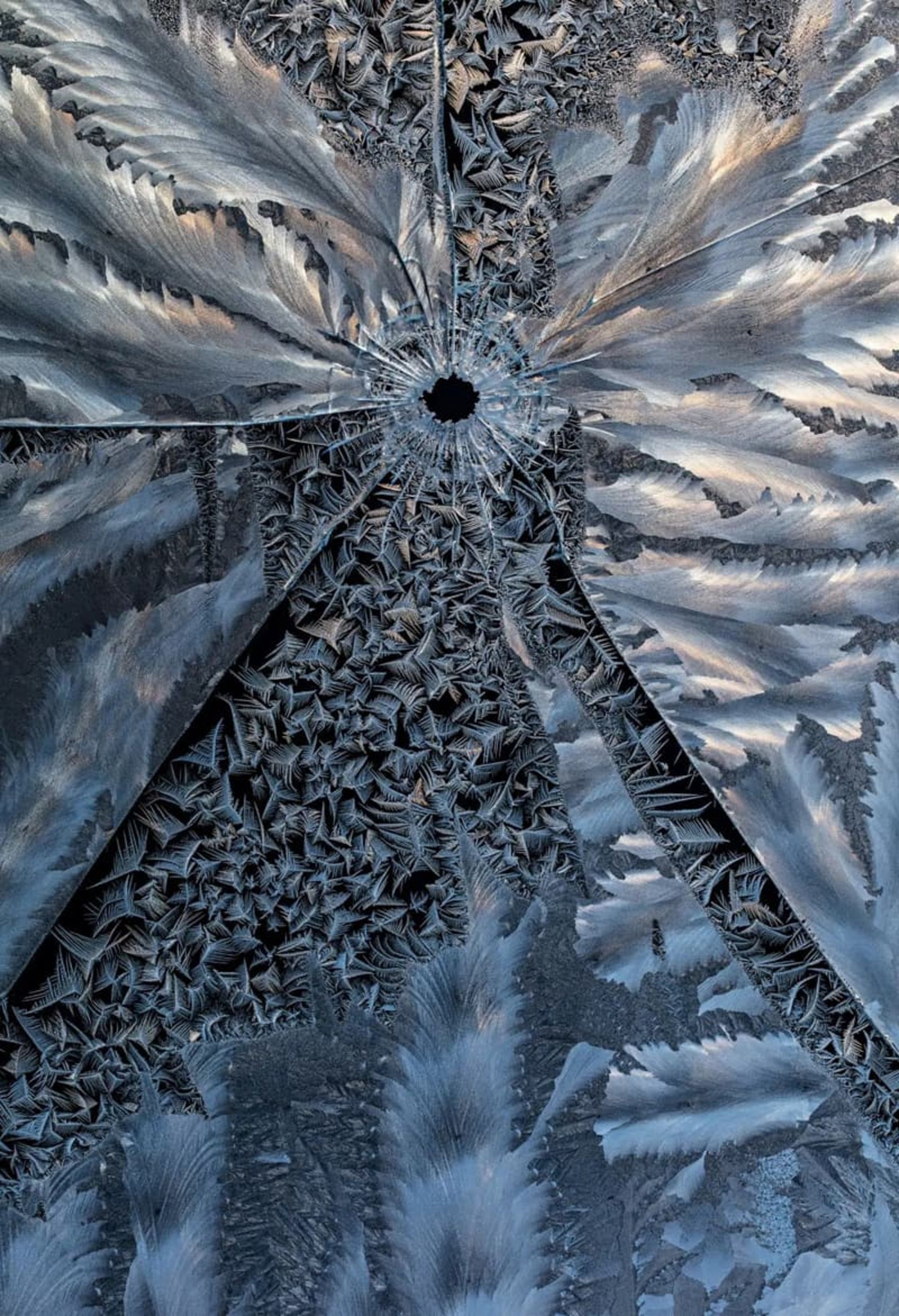 یخبندان روی شیشه‌های پنجره 