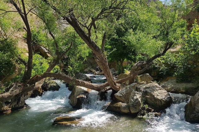 دیدنی‌های کرمانشاه در تابستان؛ خنکای طبیعت در دل تاریخ