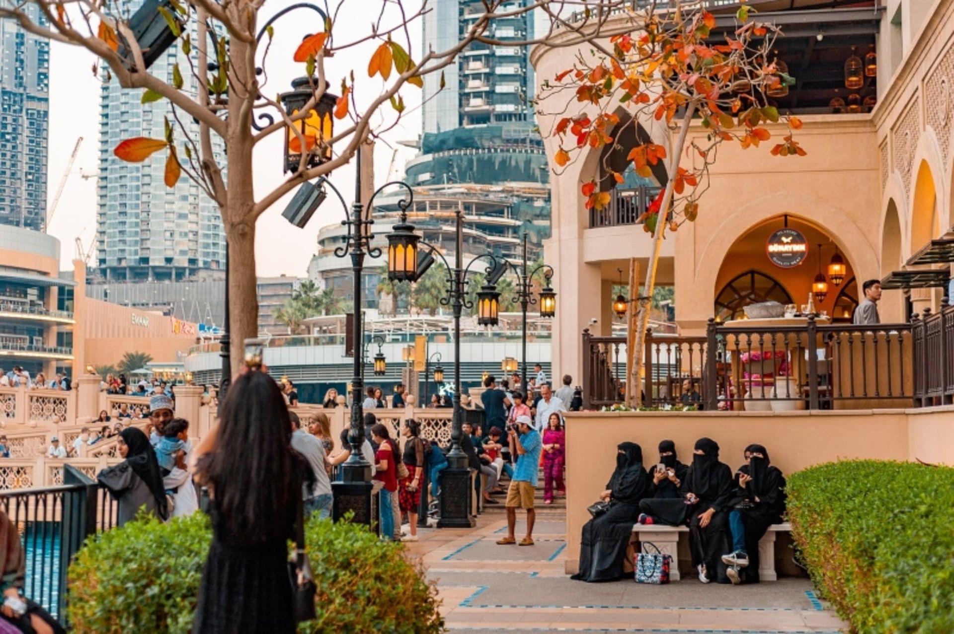 برگ نارنجی درختان در فصل پاییز دبی