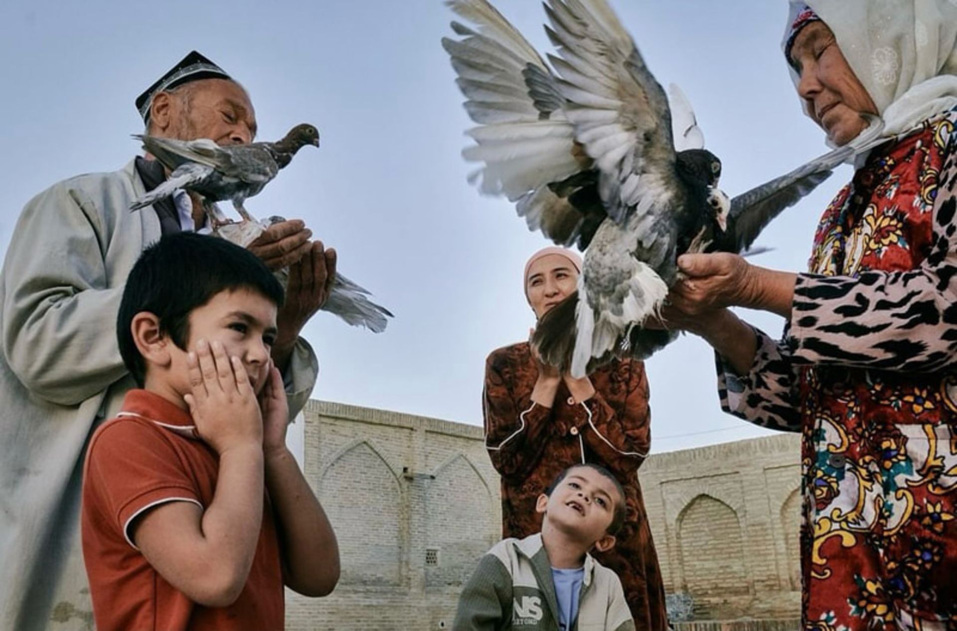آزادسازی پرندگان