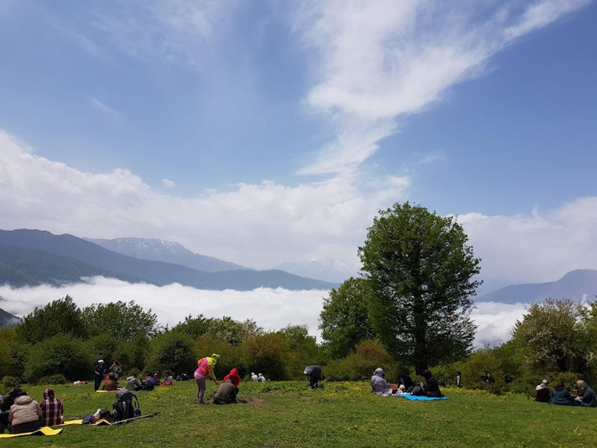 پیک نیک در جنگل الیمستان