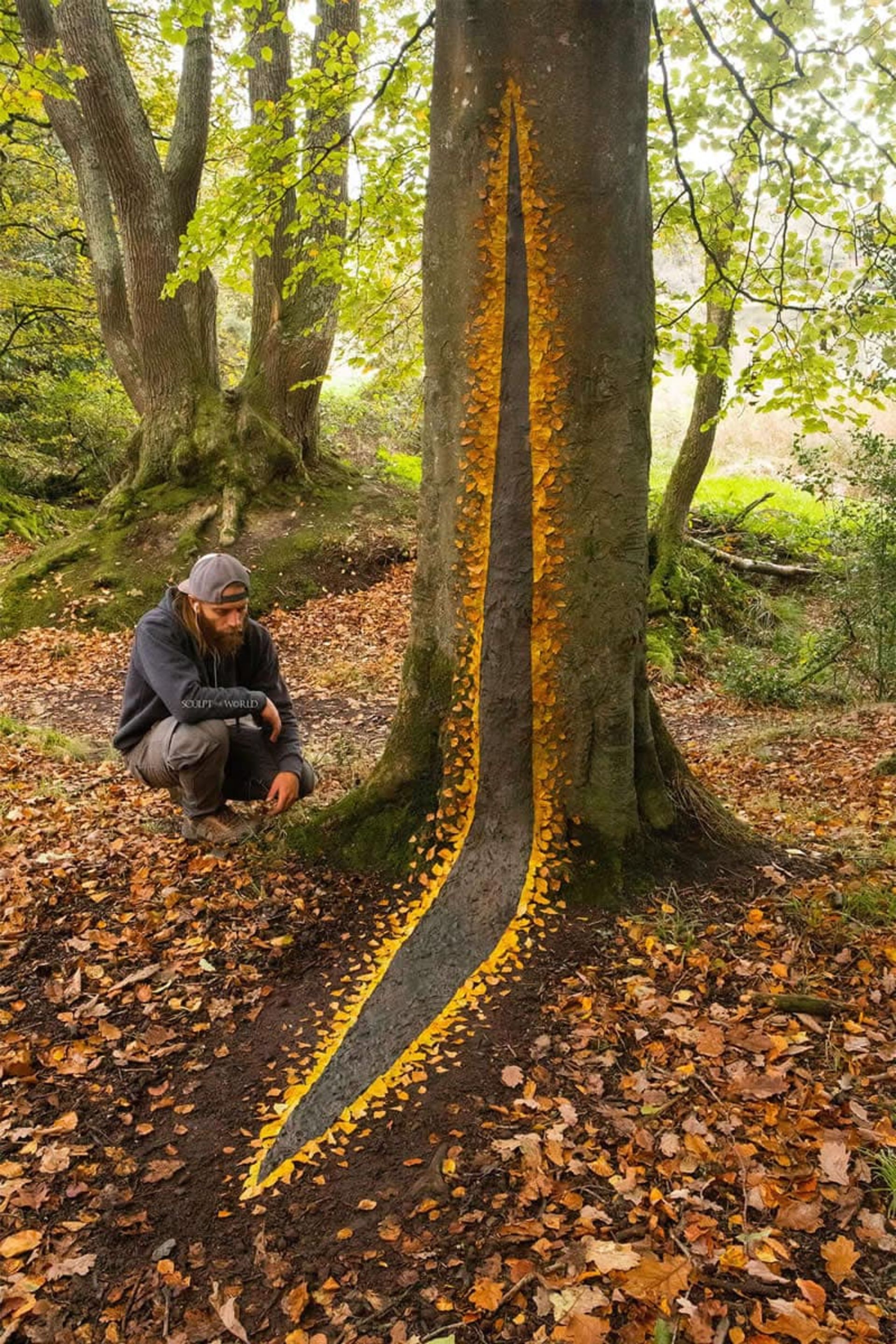 طرح برگ درخشان روی درخت و زمین