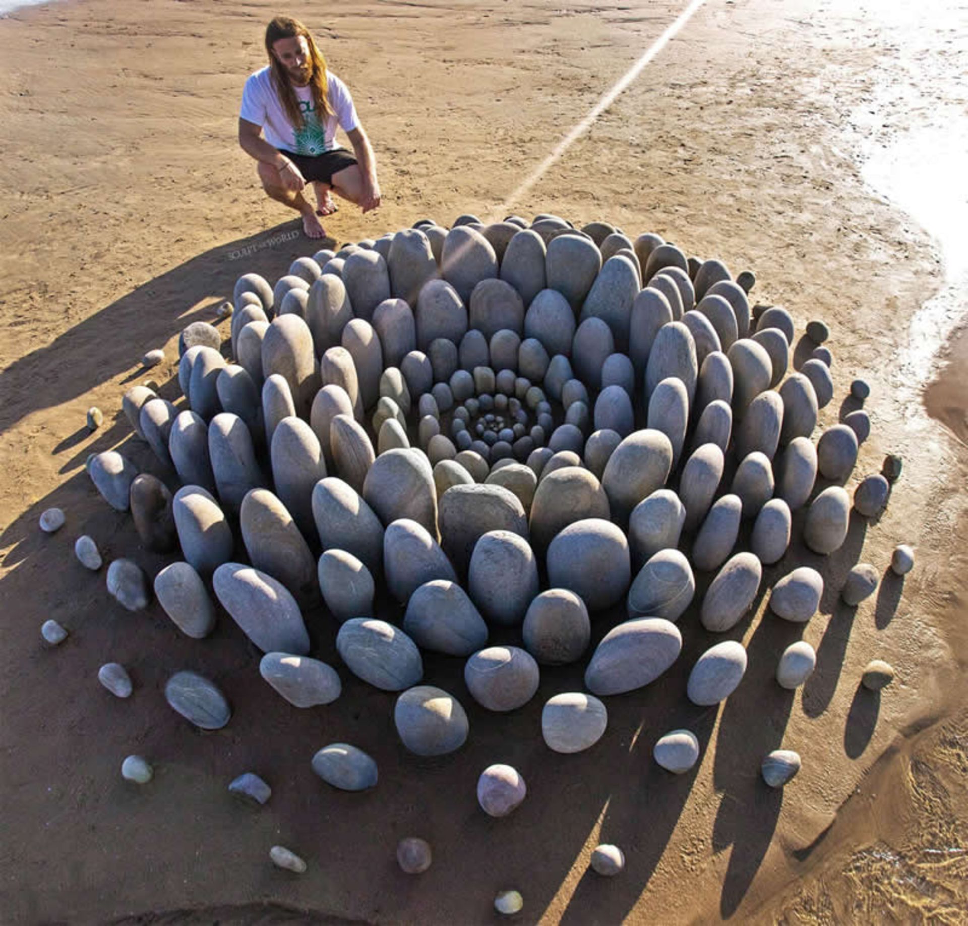 هنر زمین زودگذر به شکل یک گل سنگی