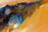 چشم غول‌پیکر صحرا