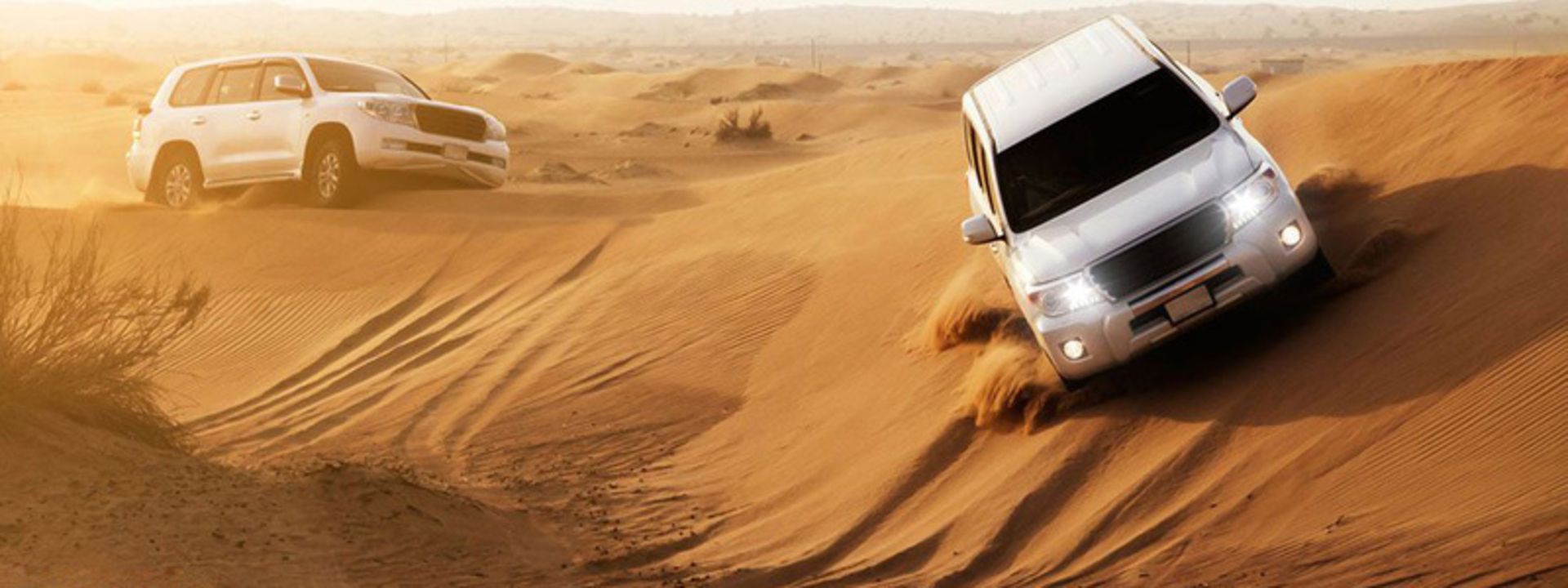 سافاری در کویر مرنجاب