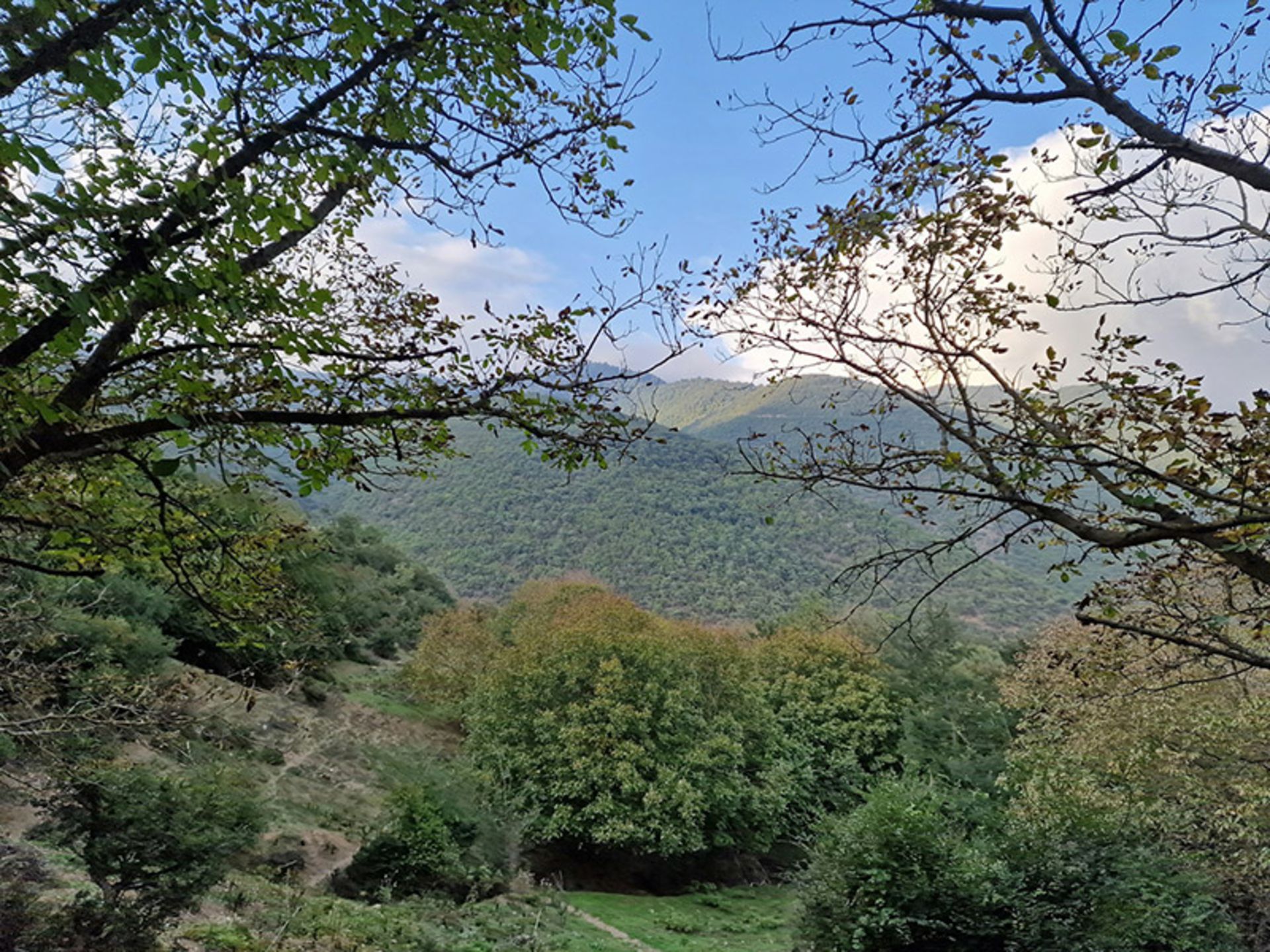 ارتفاعات سرسبز و پوشیده از درخت رودبار