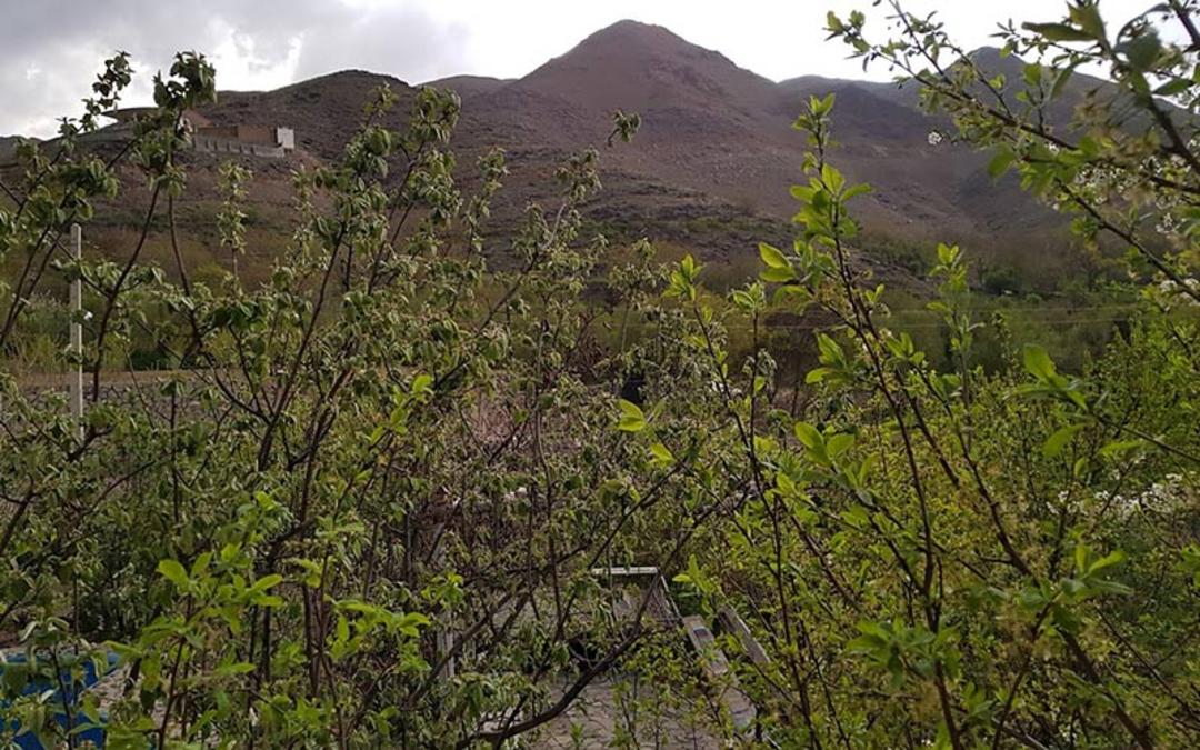 طبیعت روستای جوینان در بهار