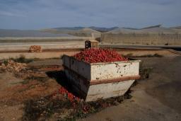 کدام کشورها بیشترین مواد غذایی را هدر می‌دهند؟