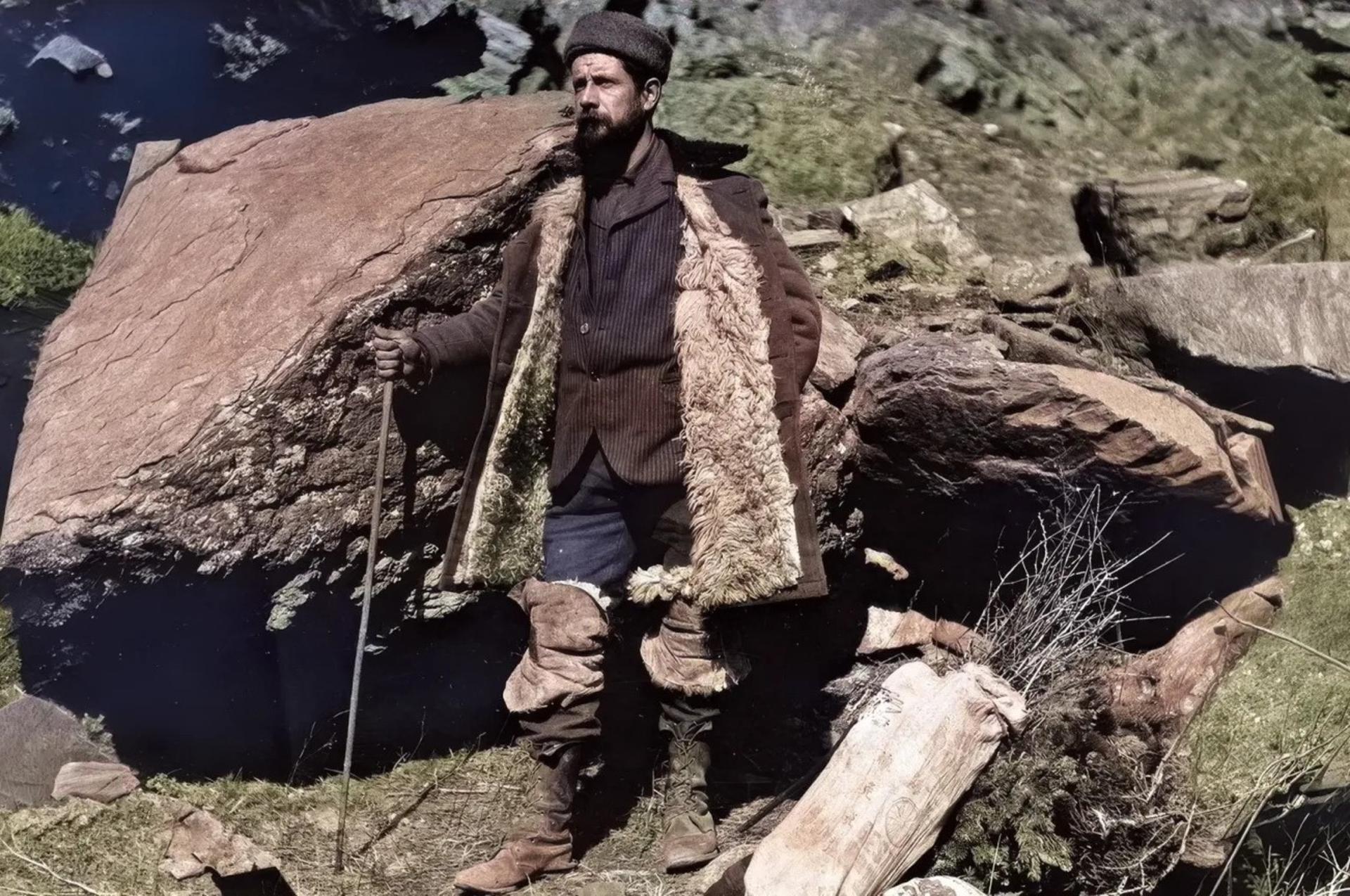 گیاه‌گرد آمریکایی