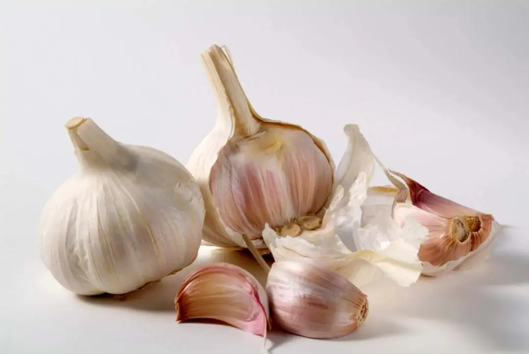 سیر کامل و چند حبه سیر جدا شده روی زمینه سفید
