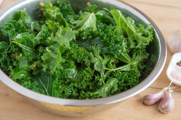 کلم کالی (Kale) تازه و سبز در یک ظرف استیل بزرگ