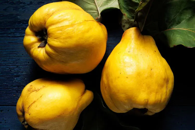 میوه‌های به (Quince) زرد رنگ روی یک سطح تیره