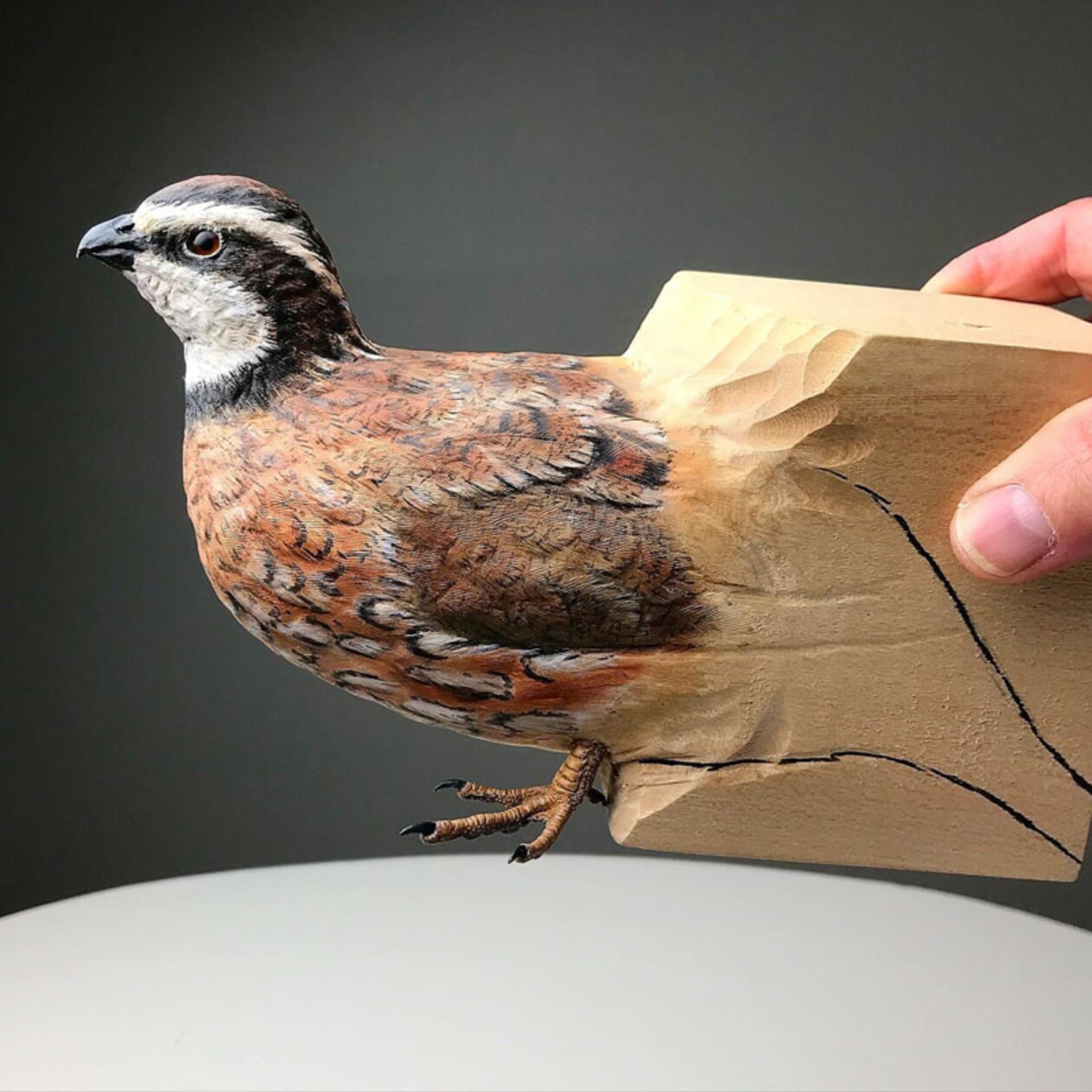 مجسمه چوبی یک بلدرچین