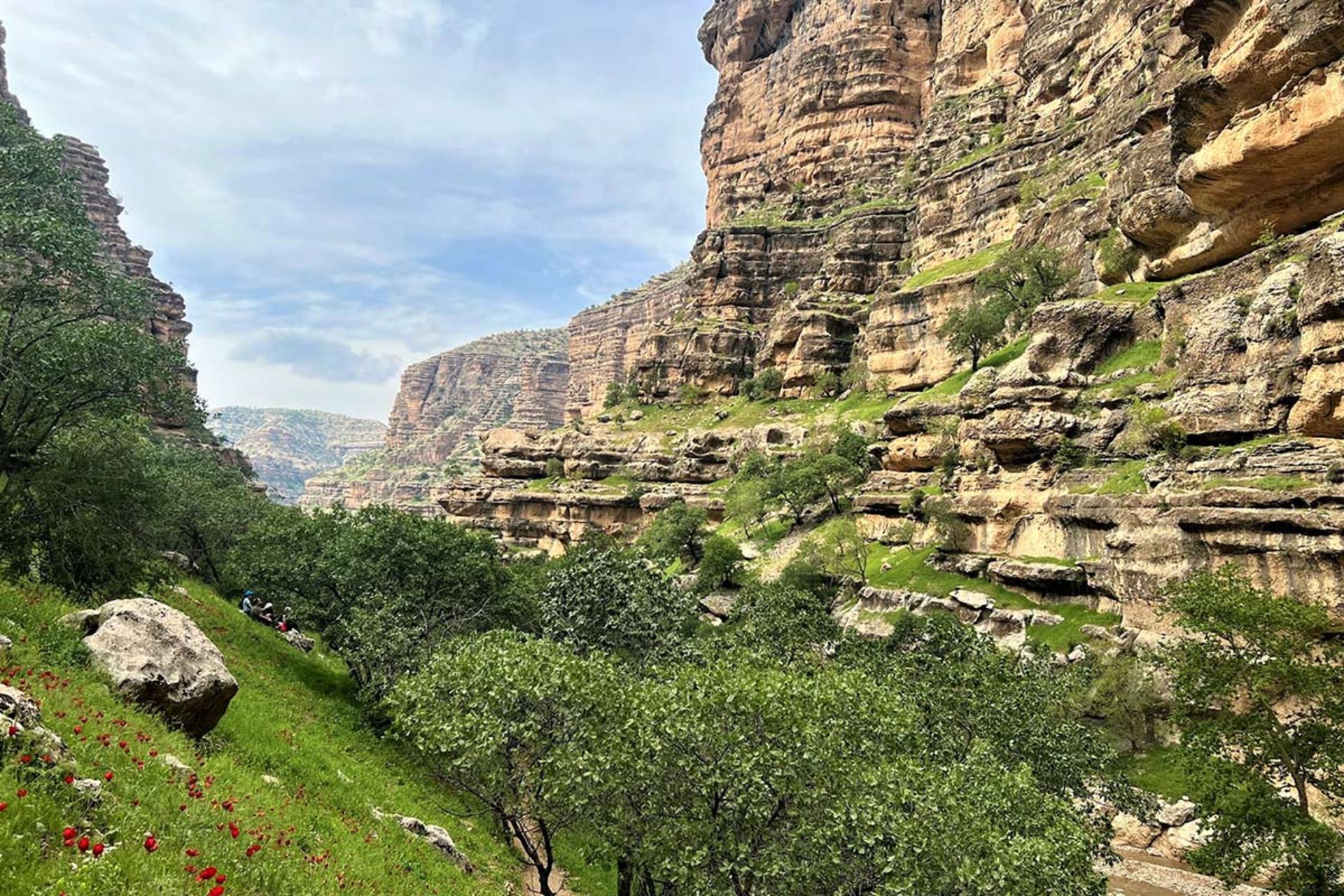 طبیعت بهاری تنگه شیرز