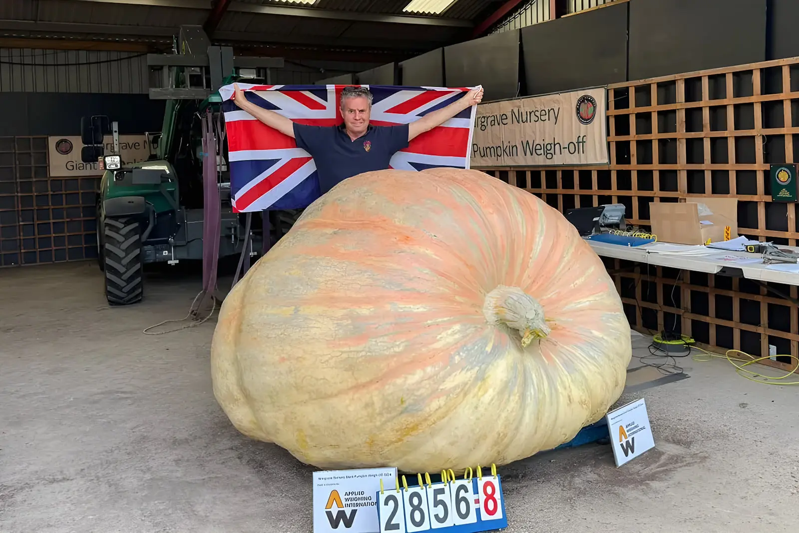 کدو تنبل بسیار بزرگ (Giant Pumpkin) در کنار مردی با پرچم بریتانیا