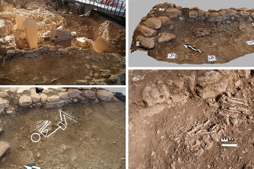 استخوان‌های انسانی (Human bones) کشف شده در سایت باستانی گوبکلی‌تپه (Göbekli Tepe)