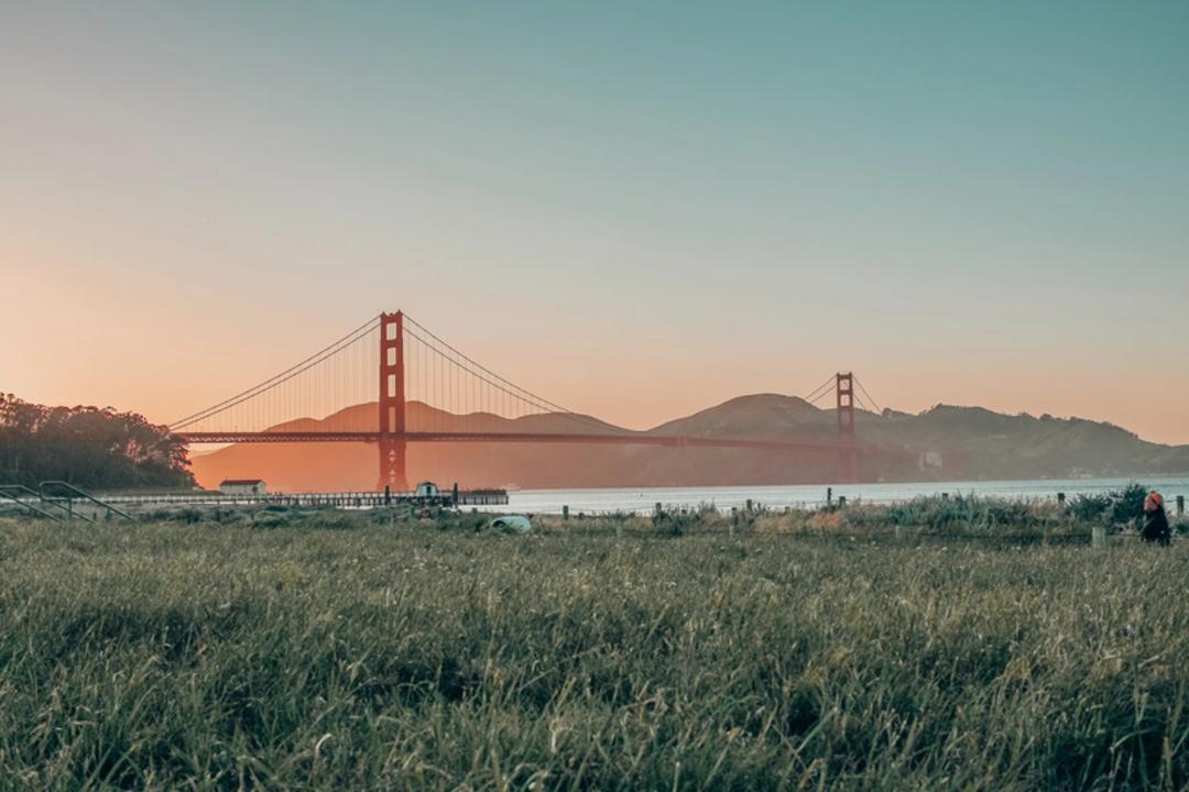 پل گلدن گیت (Golden Gate Bridge) در پس‌زمینه منظره‌ای با چمن‌های سبز